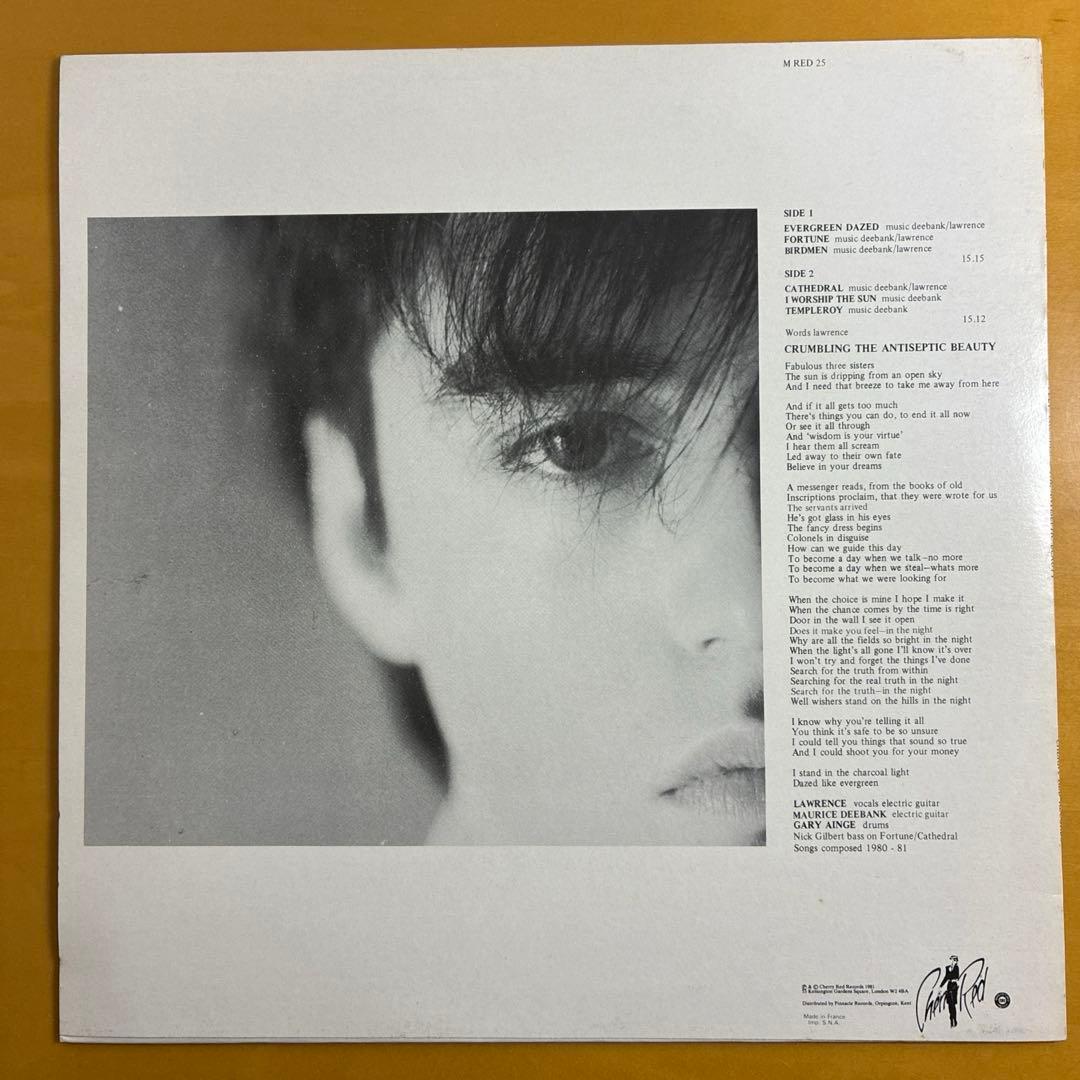 FELT 輸入12inchレコード　M RED25 1981
