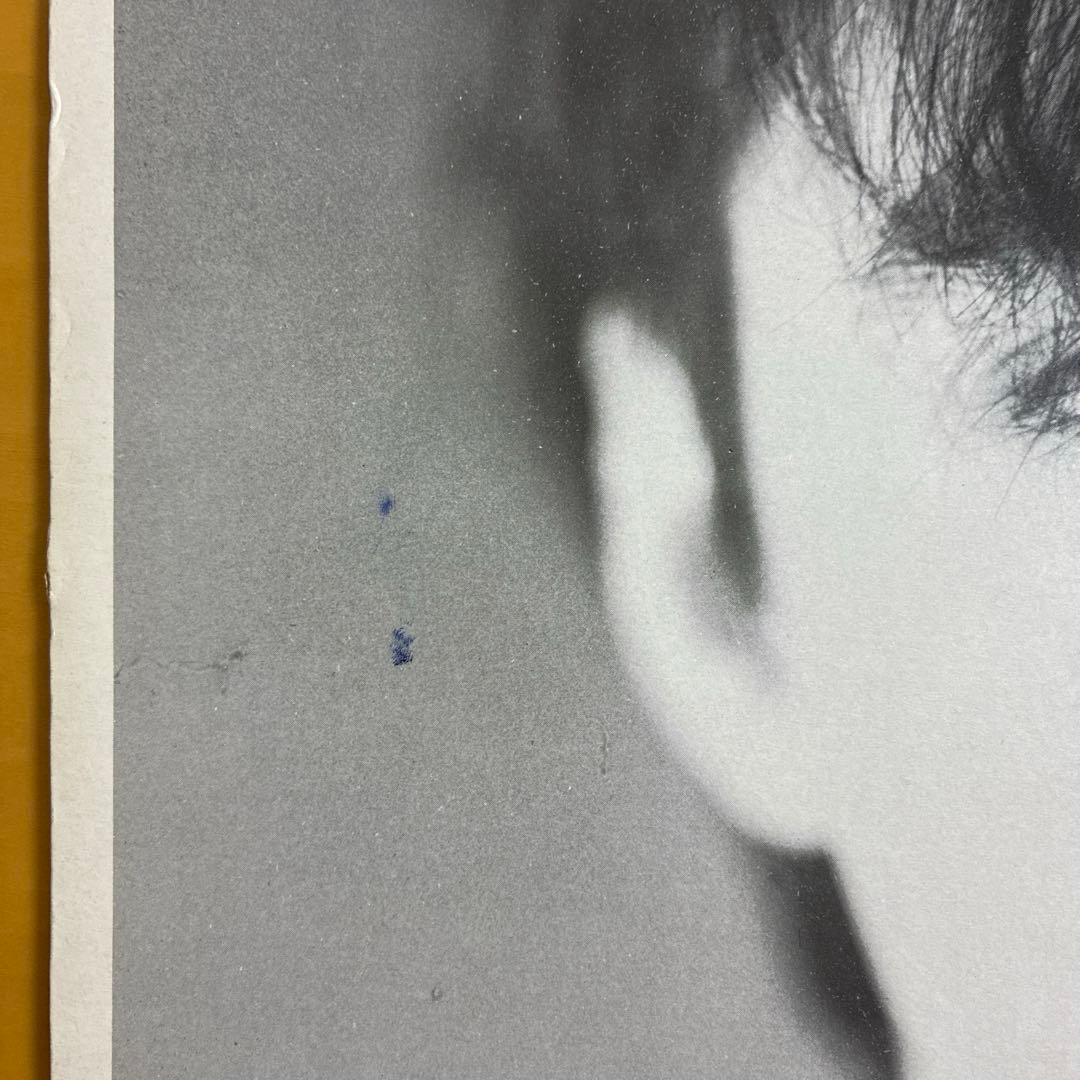 FELT 輸入12inchレコード　M RED25 1981