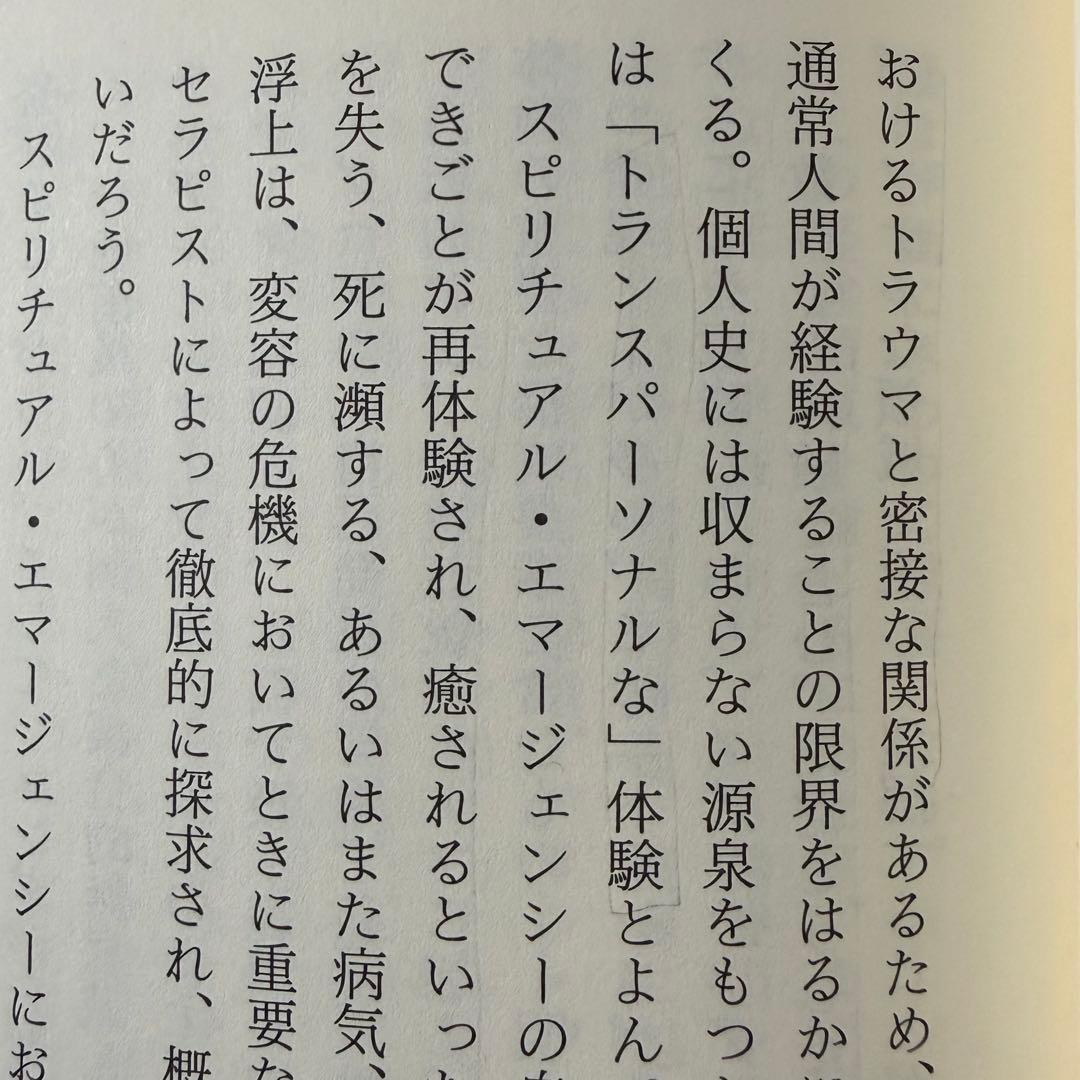 【稀少絶版本】入手困難品⭐︎ スピリチュアル・エマージェンシー 初版本 カバー無し