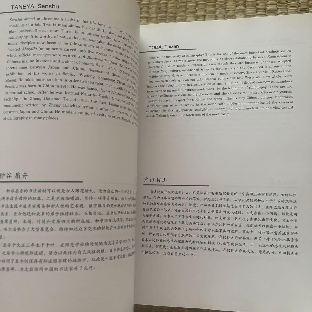 書作品年鑑 2001 特集・130人による現代書10年の動き1991―2000