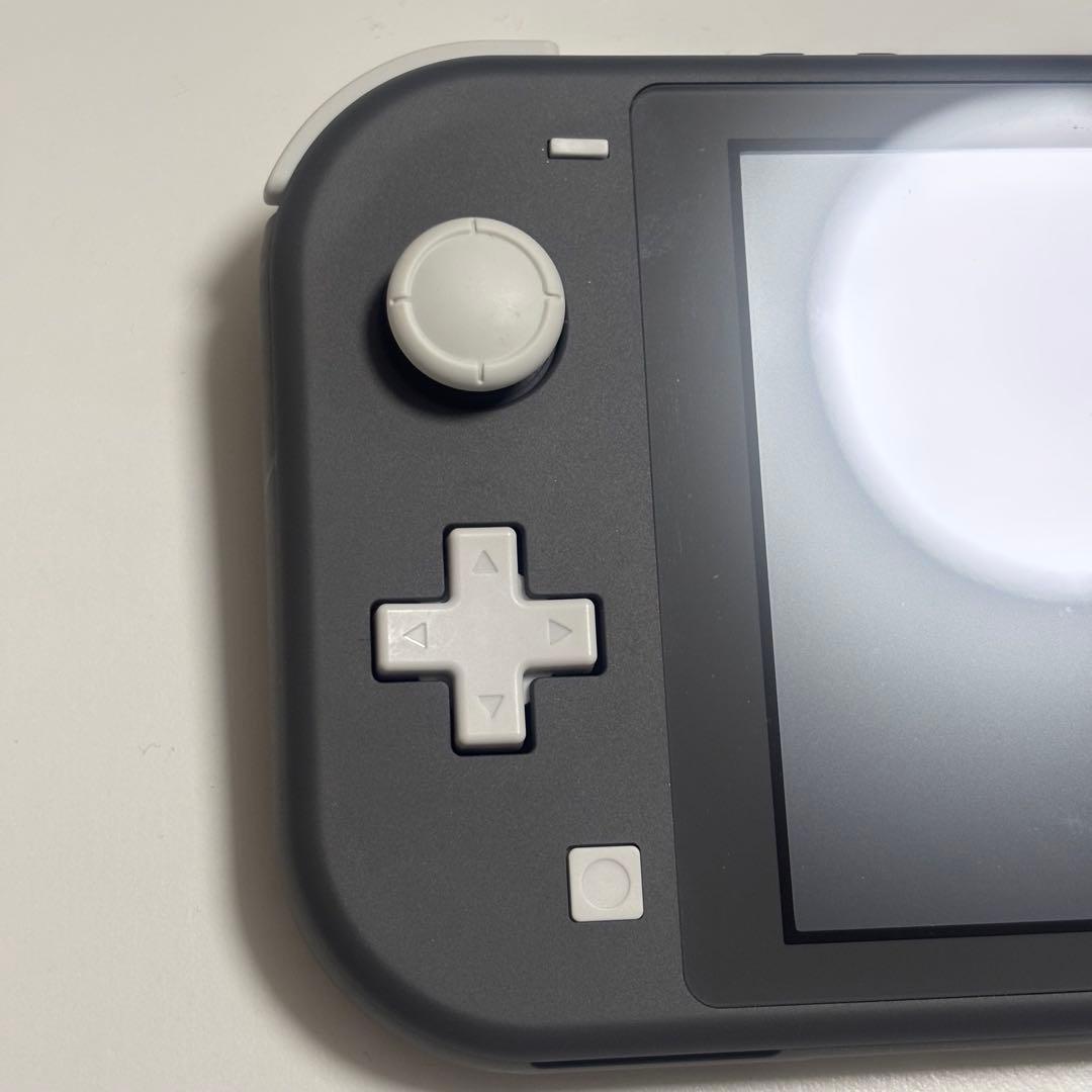 Nintendo Switch Lite グレー 本体　充電器付き