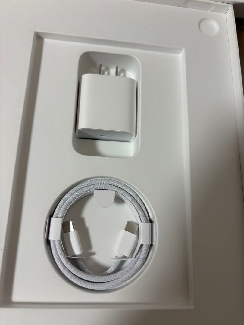 iPad本体 Apple iPad A16 128GB