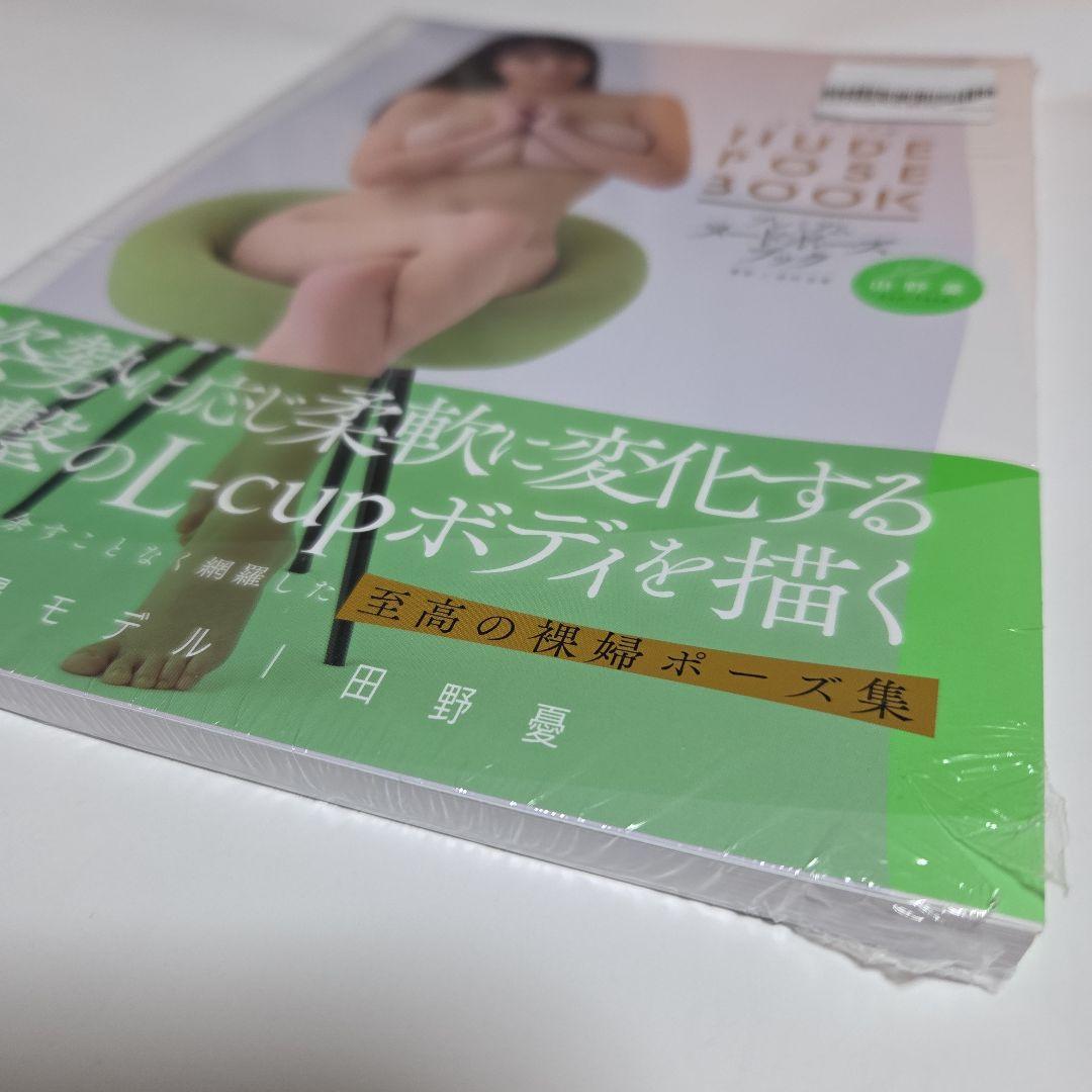 プレミアムヌードポーズブック 田野憂　新品