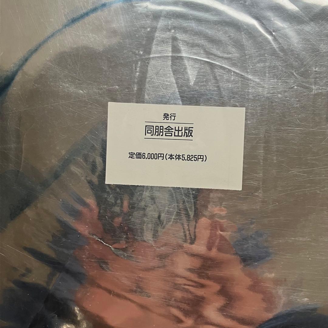 MADONNA／US盤&SEX／LPレコード.写真集SEXbookセット送料込み