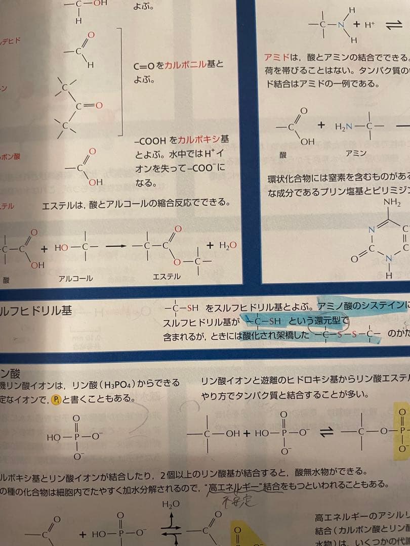 Molecular Biology of THE CELL 第6版