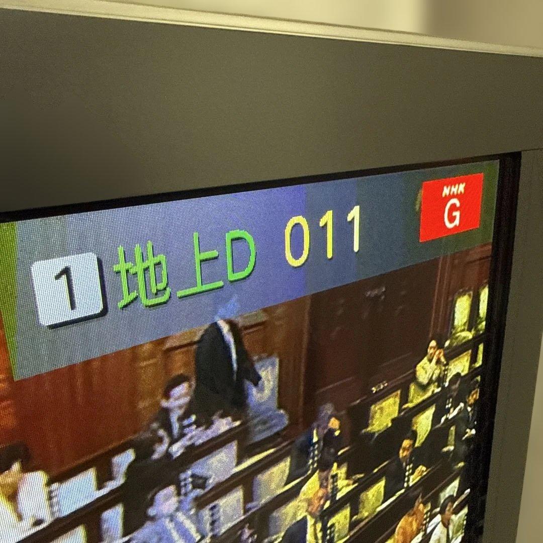 Panasonic プラズマテレビ VIERA TH-P42V2 42型 テレビ