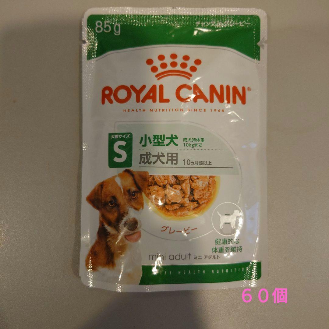  CANIN 小型犬 成犬用 ウエットフード 85g ×60個