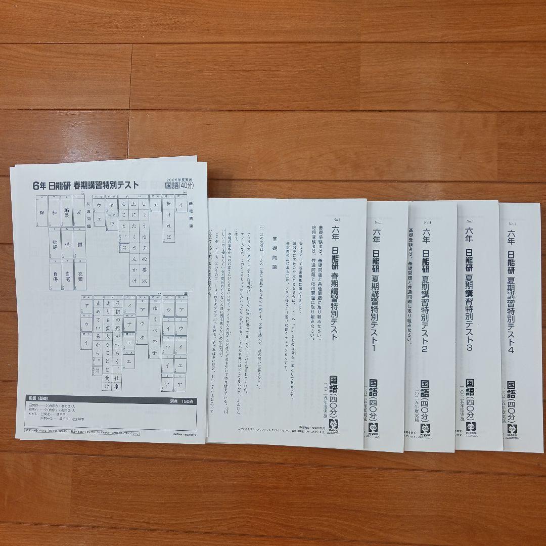 ①【２個口発送】日能研　６年生　全国公開模試　育成　実践テスト　各種テキスト他