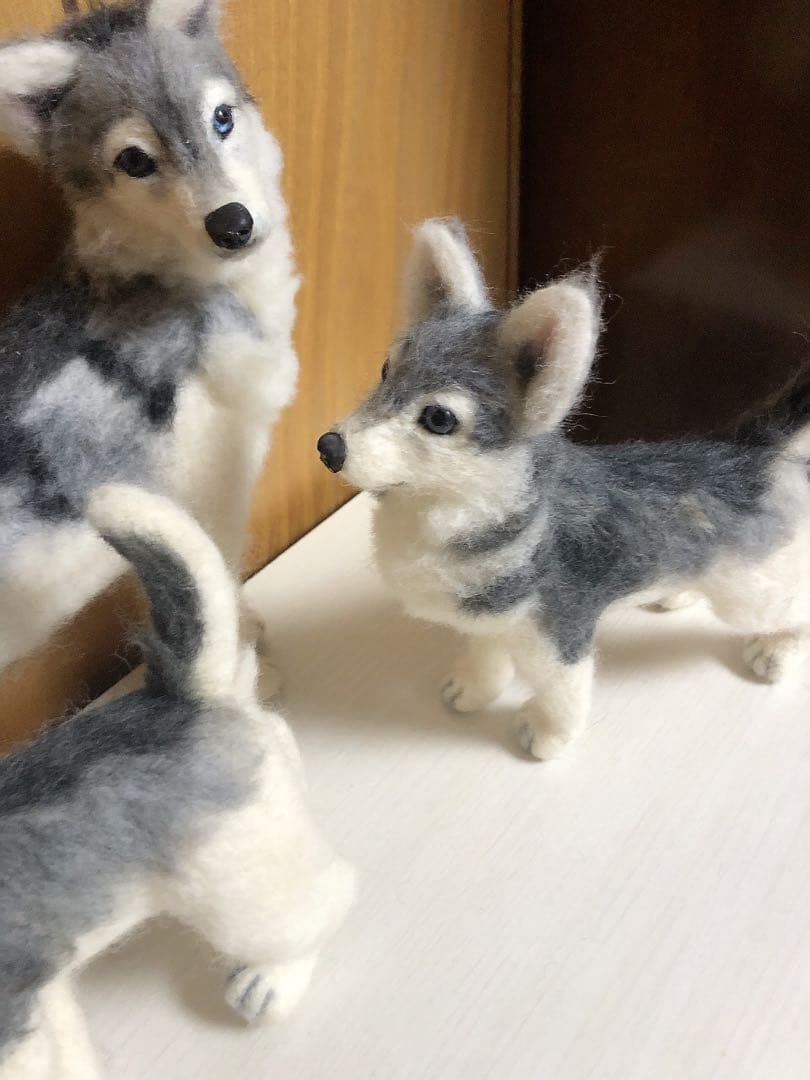 ニ*5様 【最終SALE】シベリアンハスキー〈3体Set〉