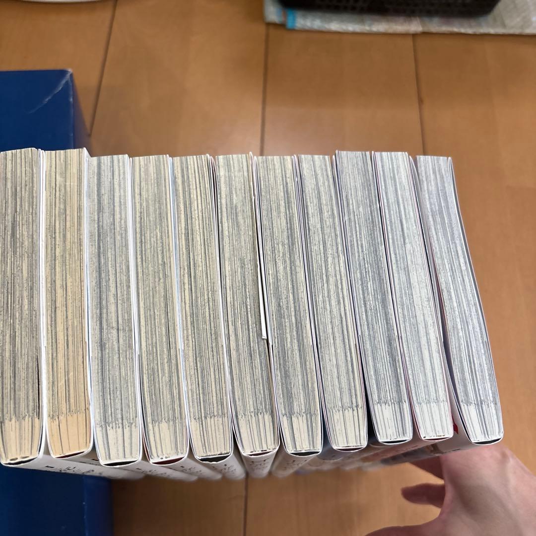 日に流れて橋に行く 既刊11冊