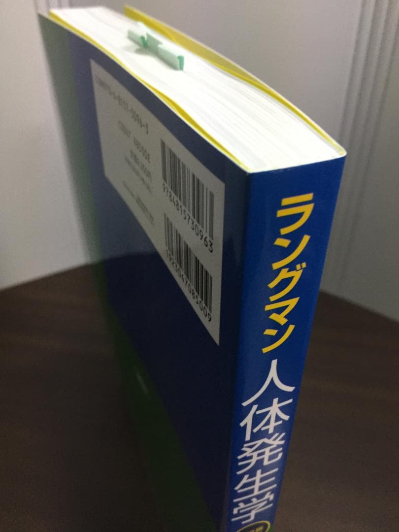 ラングマン人体発生学 第12版 2024年12版発行 定価9350円