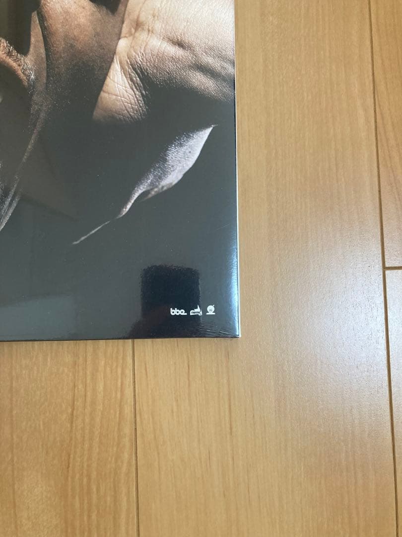 pete rock soul survivor Ⅱ