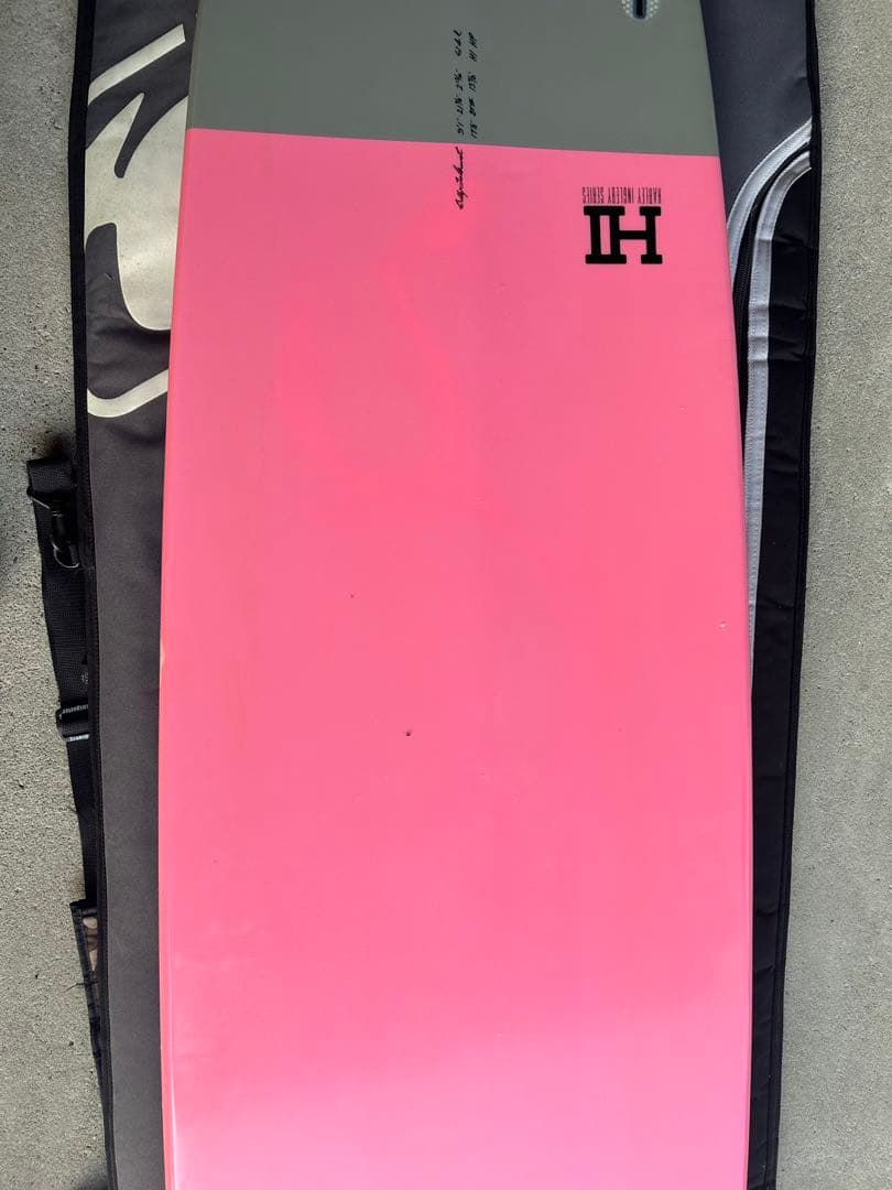 か*ん様 HARLEY TOLHURST ジヨンカーボン　ロングボード ボード
