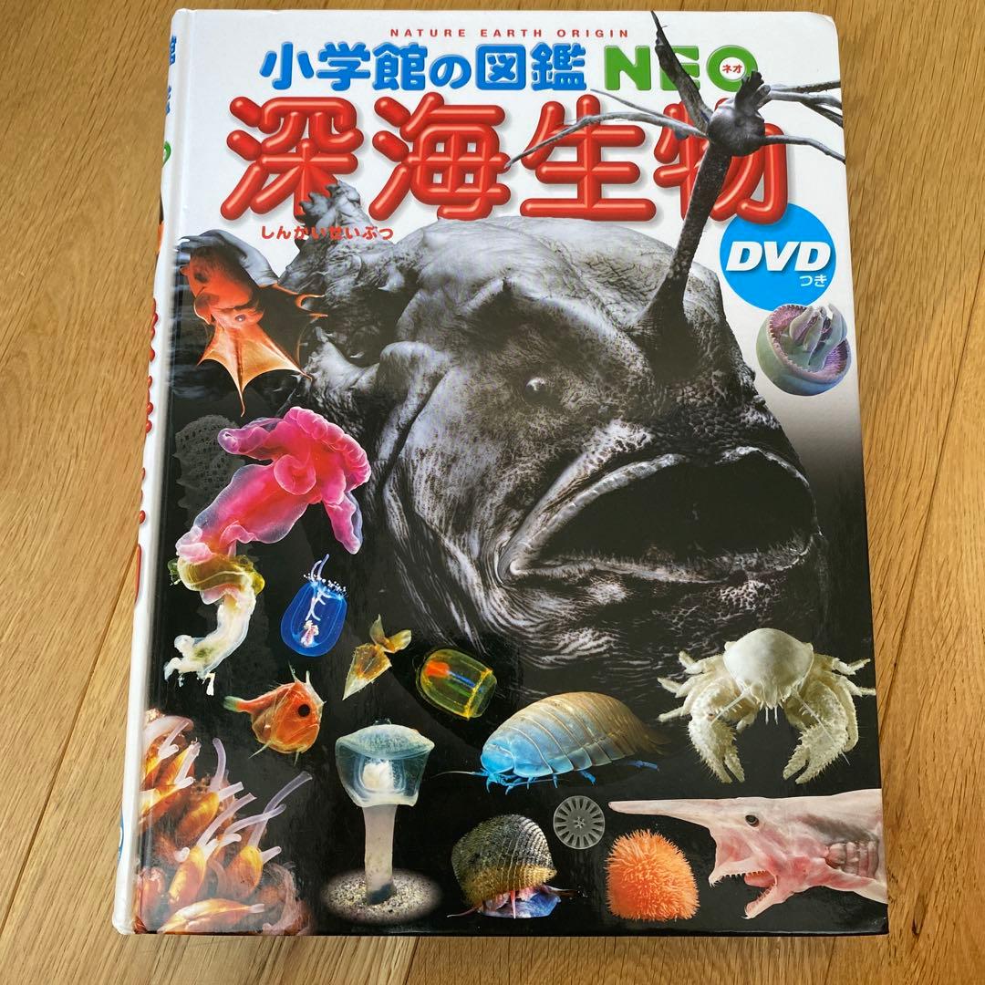 NEO ふしぎの図鑑 DVDなし