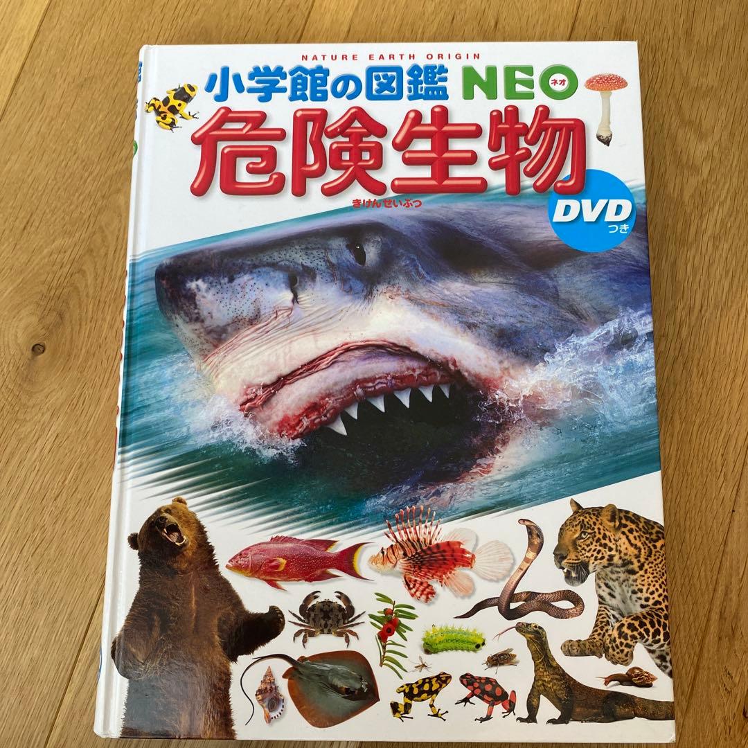 NEO ふしぎの図鑑 DVDなし