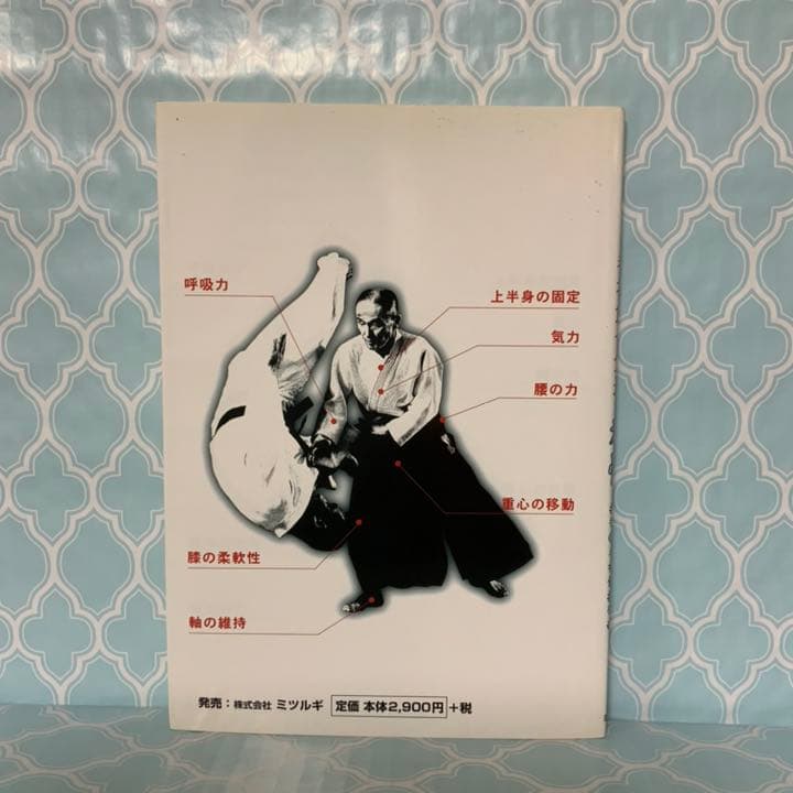 塩田剛三直伝 養神館合気道 精髄