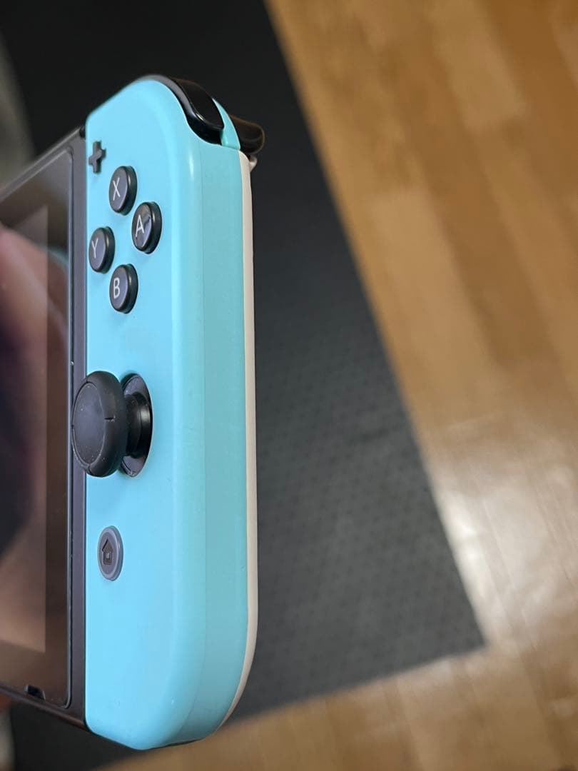 Nintendo Switch あつまれどうぶつの森セット あつ森ケース付き