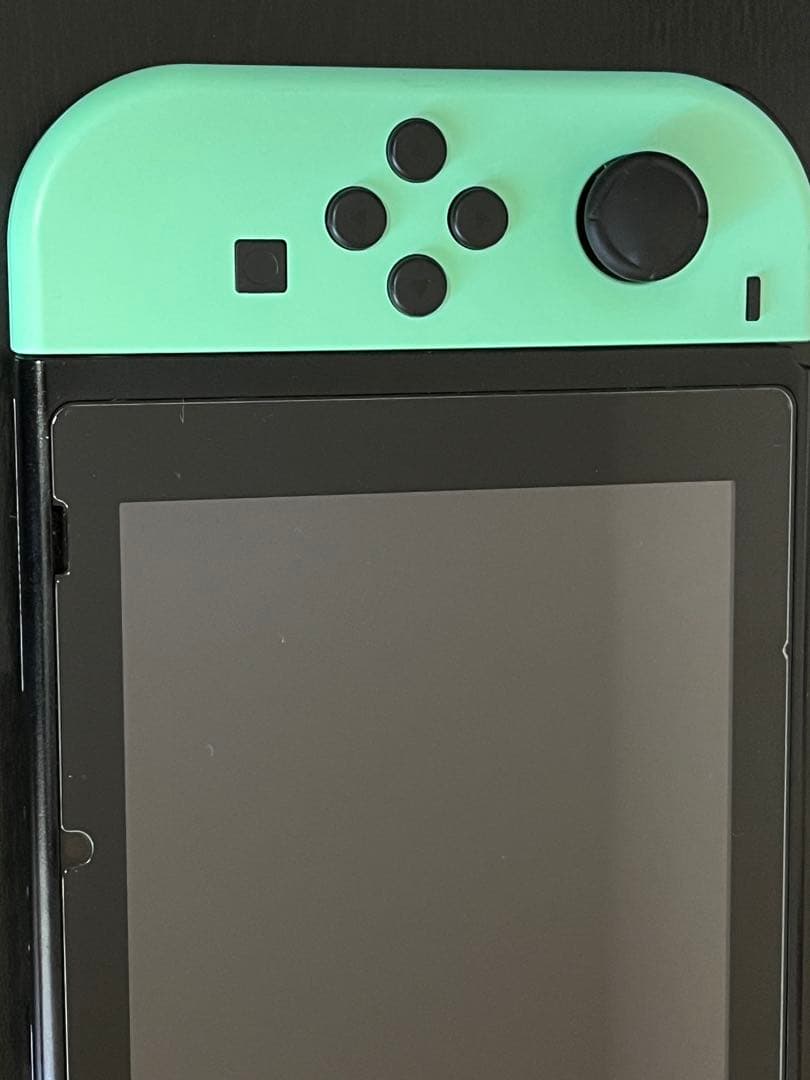 Nintendo Switch あつまれどうぶつの森セット あつ森ケース付き