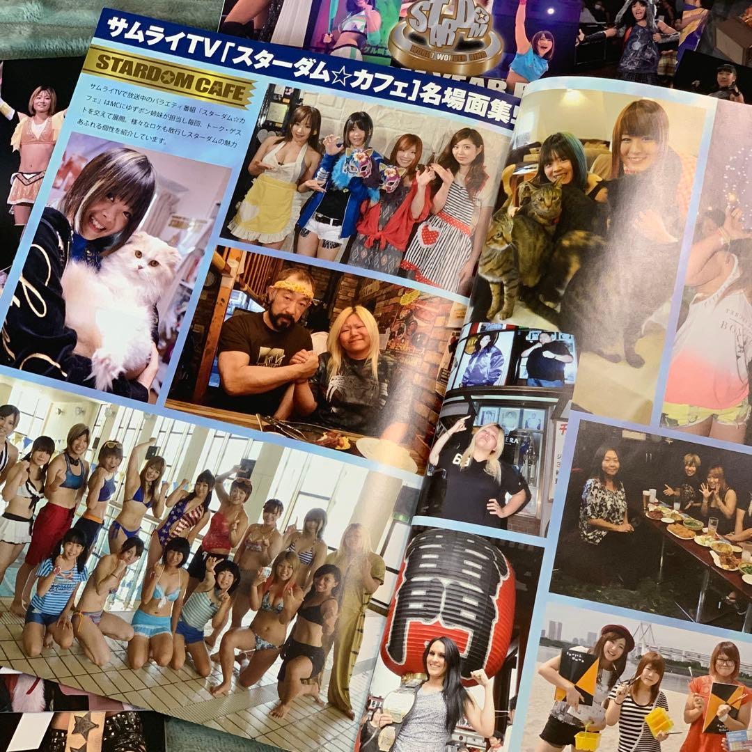 STARDOM スターダム 岩谷麻優 宝城カイリ 紫雷イオ イヤーブック