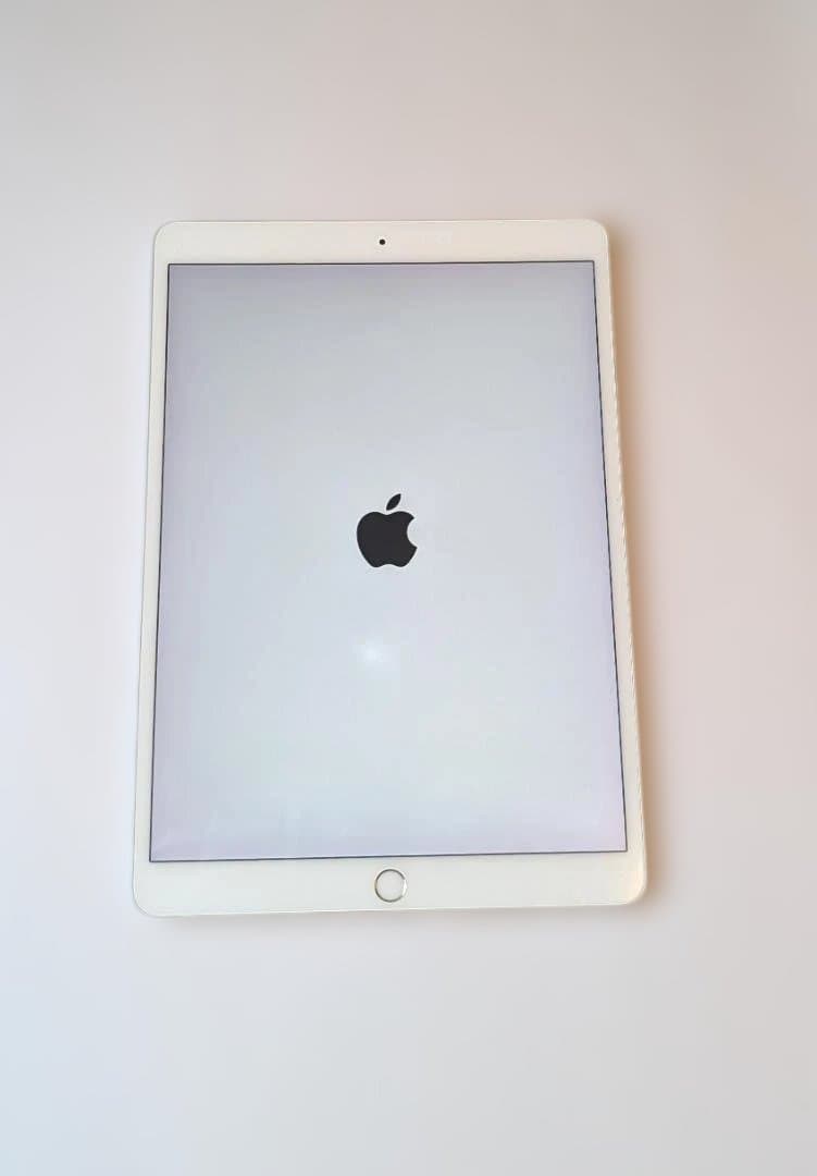 Apple iPad pro 10.5インチ　セルラー　docomo シルバー