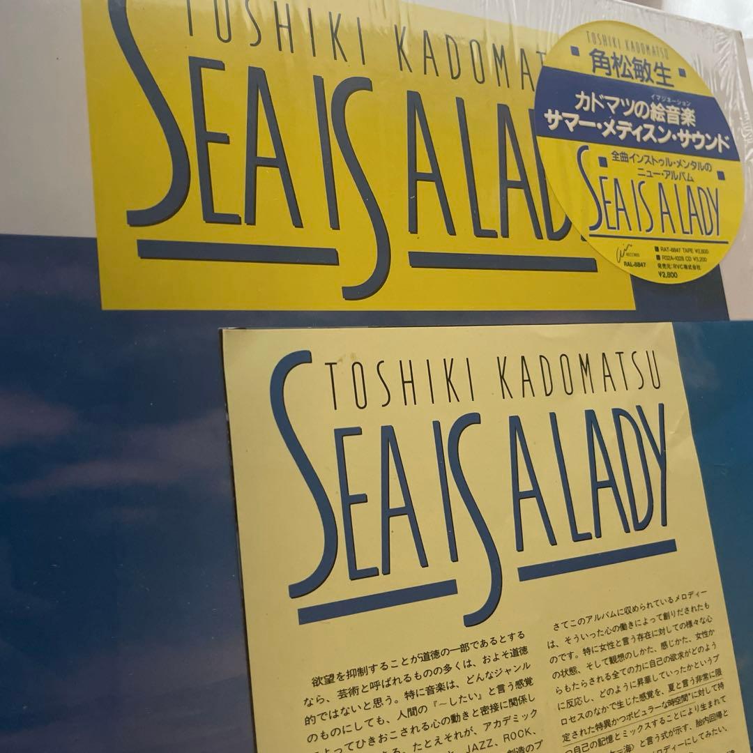 角松敏生 SEA IS A LADY LPレコード ヴィンテージアルバム