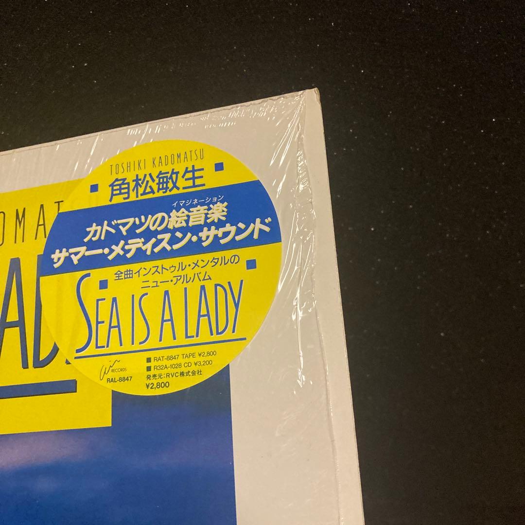 角松敏生 SEA IS A LADY LPレコード ヴィンテージアルバム