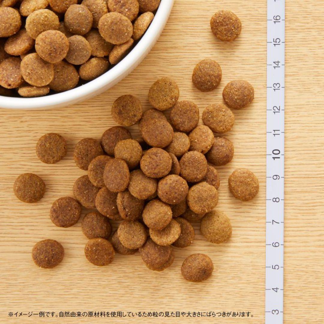 ACOナチュラル チョイス 子犬用 大型犬15キロ　妊娠・授乳中の母犬にも