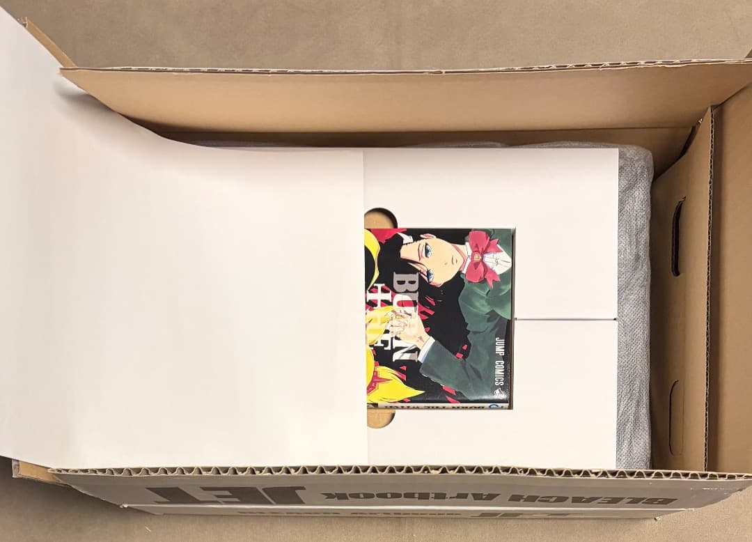 輸送箱 限定コミック等付属品完品 Bleach イラスト集 Jet
