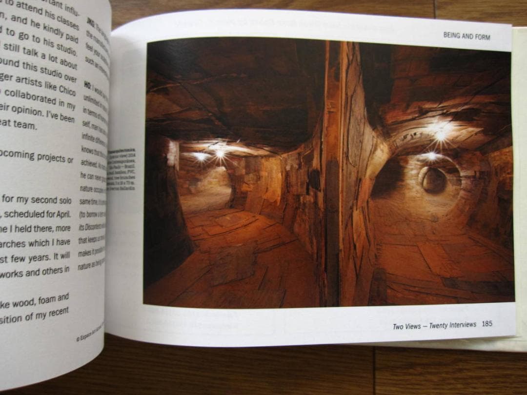 Art, Space, Ecology: Two Views 現代アート