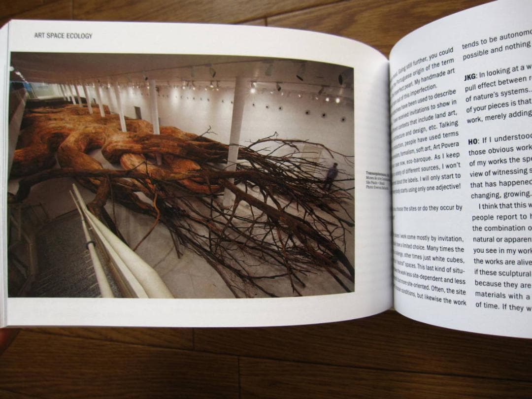 Art, Space, Ecology: Two Views 現代アート