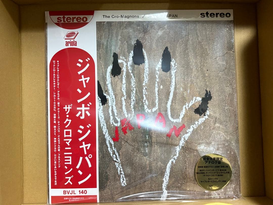 甲本ヒロト　レコード2種セット