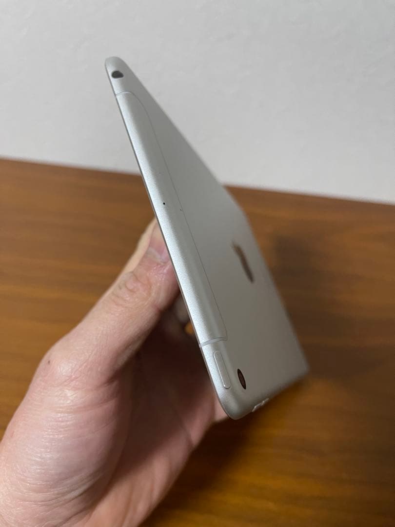 Ipad mini5 256gb SIMフリー
