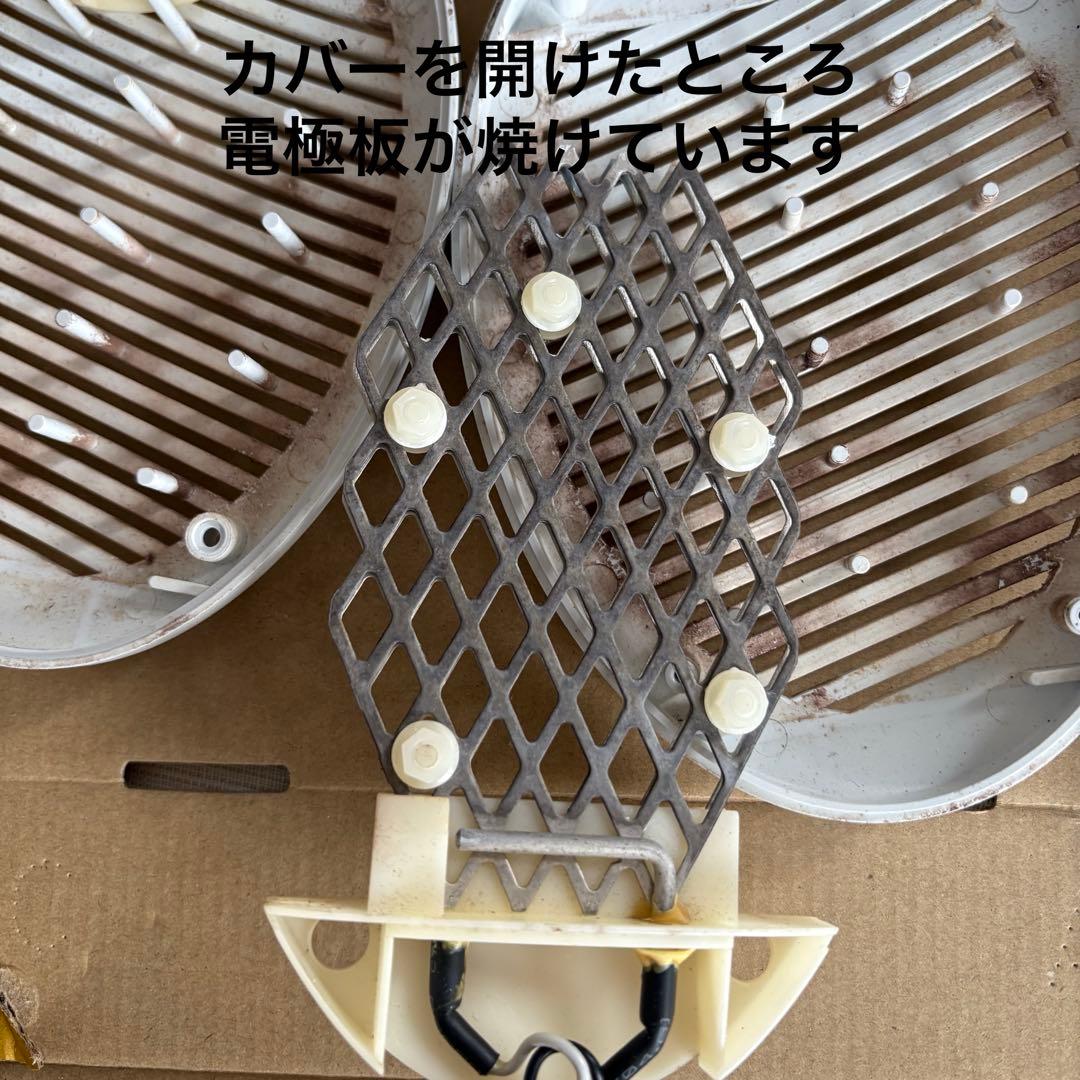カステラ品