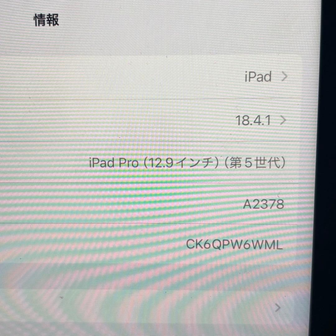 iPad Pro 12.9インチ 第5世代 256GB