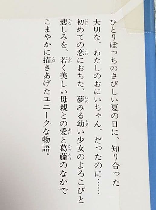 さよならわたしのおにいちゃん 児童書