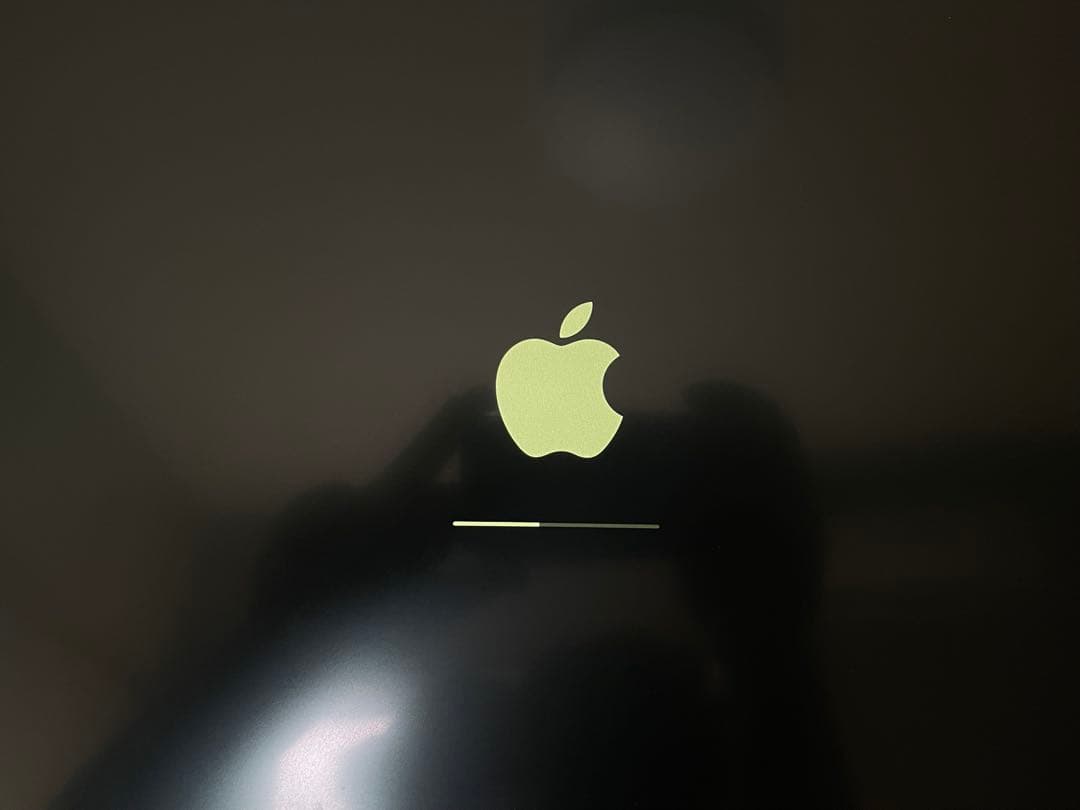 【ジャンク】iPad Pro 12.9インチ 64GB 2018 画面黄ばみあり