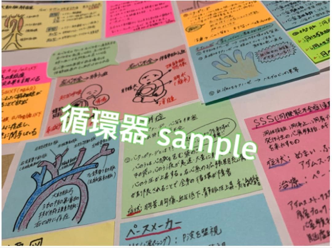 【セール価格】まとめ価格！看護師国家試験対策 暗記カード　解剖生理 付箋ノート