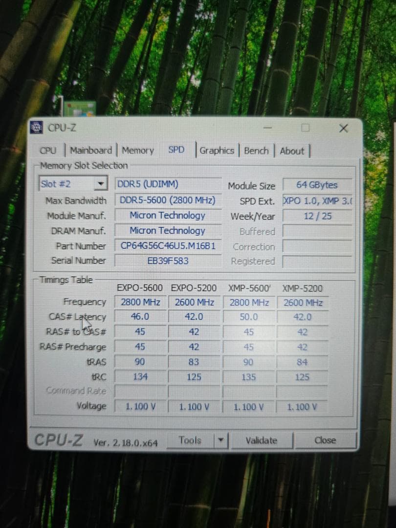 Crucial PRO 64GB×2枚 (128GB) DDR5-5600