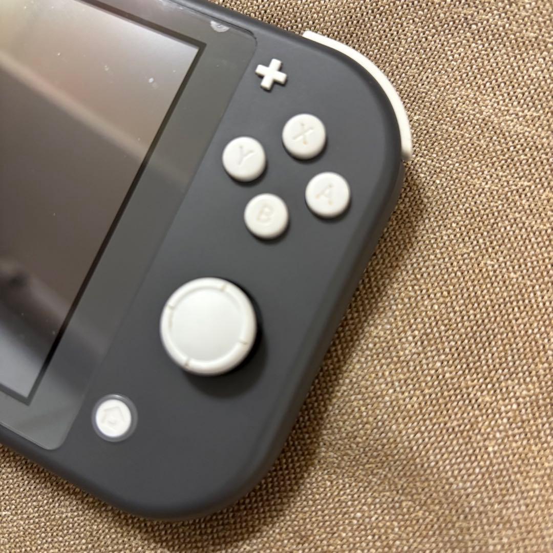 switchライト 本体のみ 充電器なし