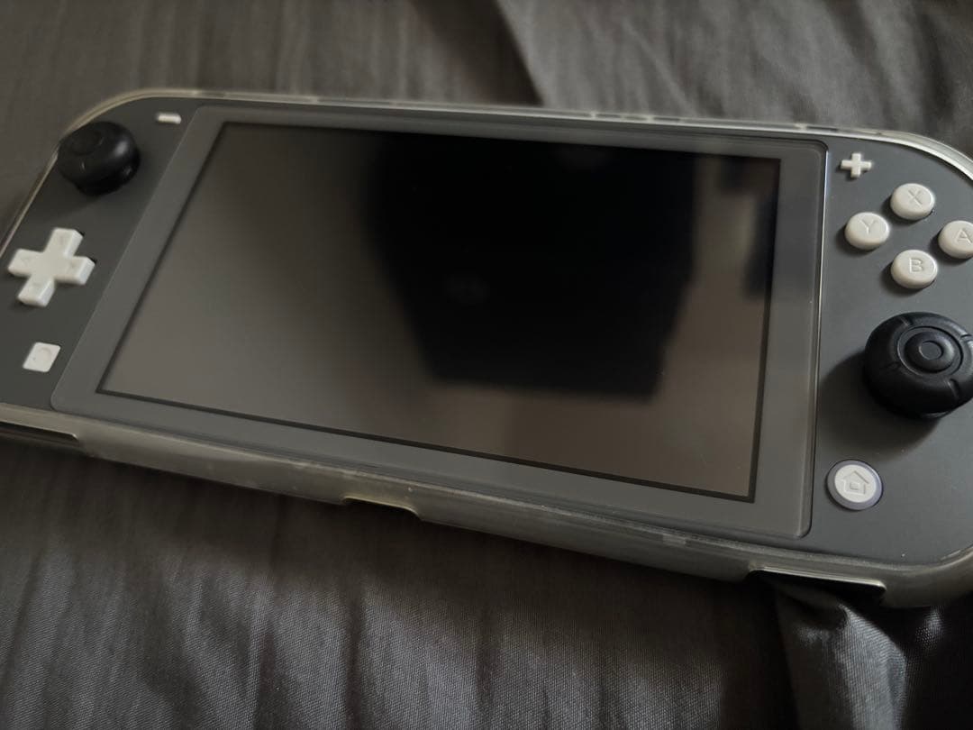 Nintendo Switch Lite グレー 本体 ジャンク