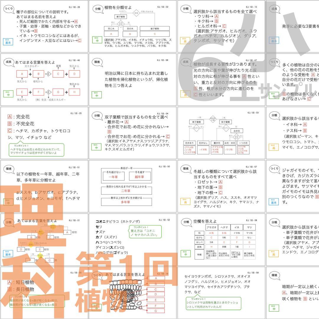中学受験 暗記カード【6年上 社会・理科 1-4回】予習シリーズ 組分け