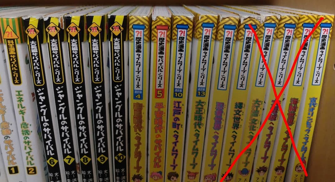 サバイバルシリーズ、タイムワープシリーズまとめ売り37冊(☓があるのは購入不可)