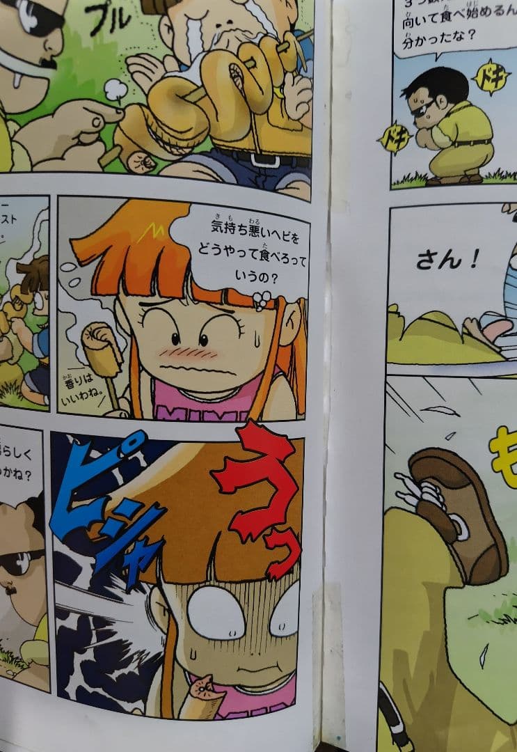 サバイバルシリーズ、タイムワープシリーズまとめ売り37冊(☓があるのは購入不可)