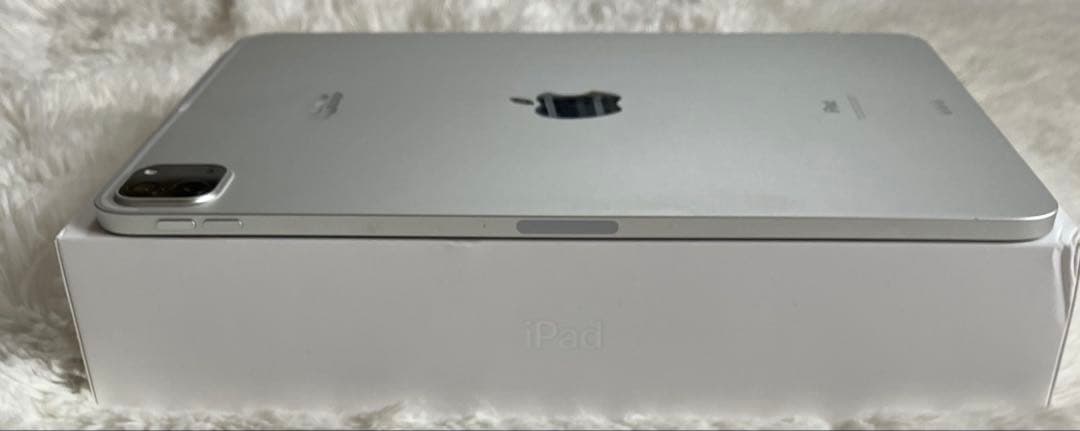 【完動品】iPad Pro 11インチ 256GB 【すぐ発送】