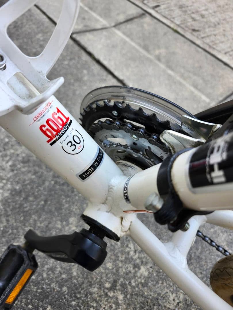 LOUIS GARNEAU 24インチ キッズバイク 《引取限定》