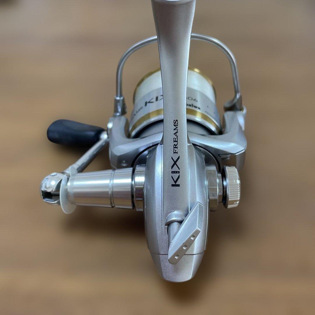 ダイワ(Daiwa) フリームスKIX 2506 浅溝タイプ