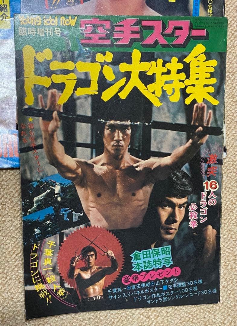 ブルース・リー　雑誌　ポスター　まとめ売り　李小龍　燃えよドラゴン　死亡遊戯