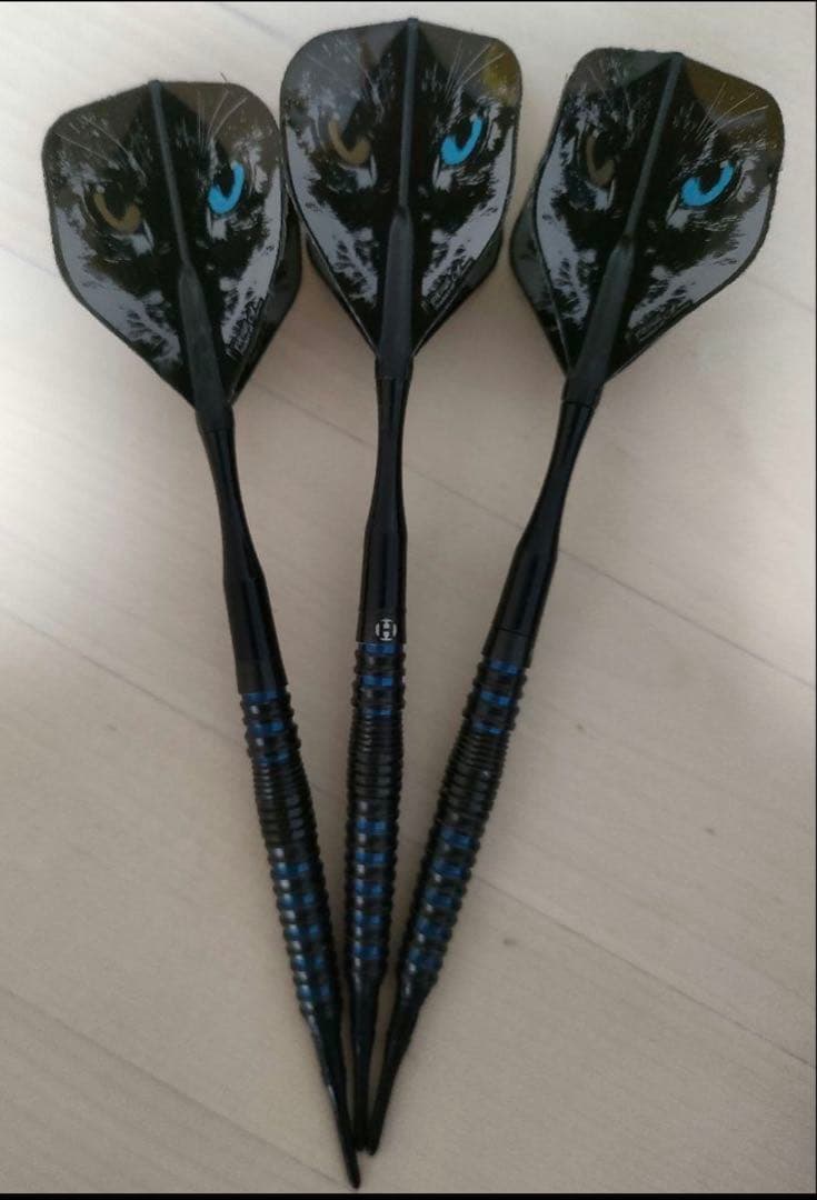 マイダーツセット CAMEOのダーツケース付き
