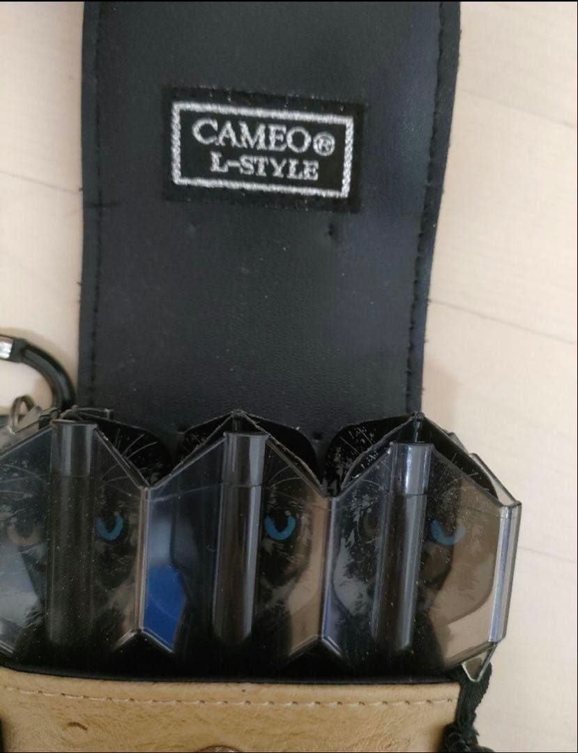 マイダーツセット CAMEOのダーツケース付き