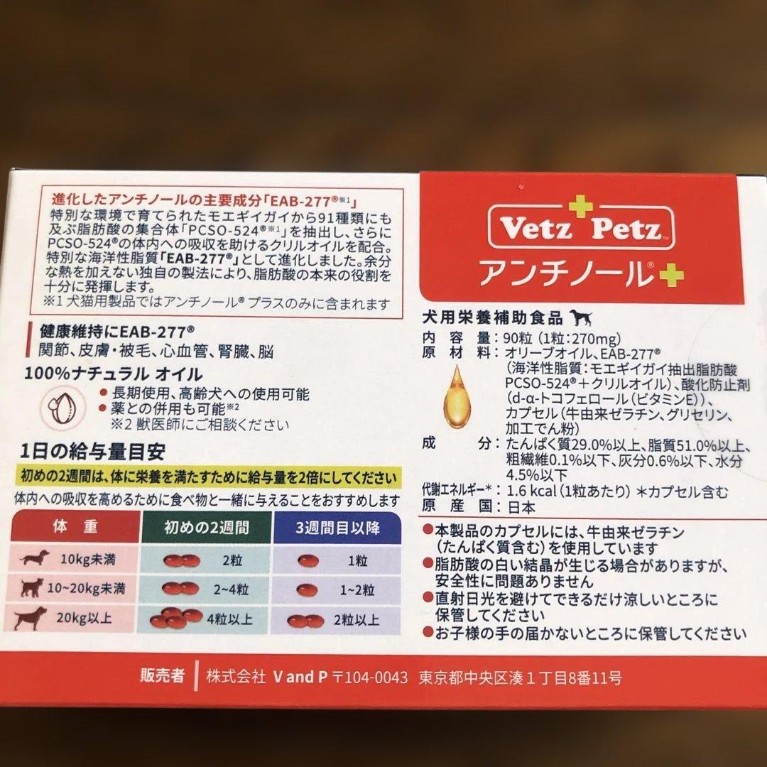 アンチノールプラス90粒